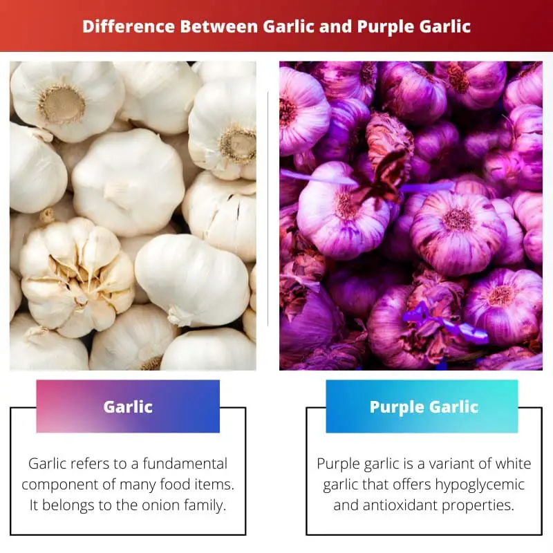 Difference Between Garlic and Purple Garlic