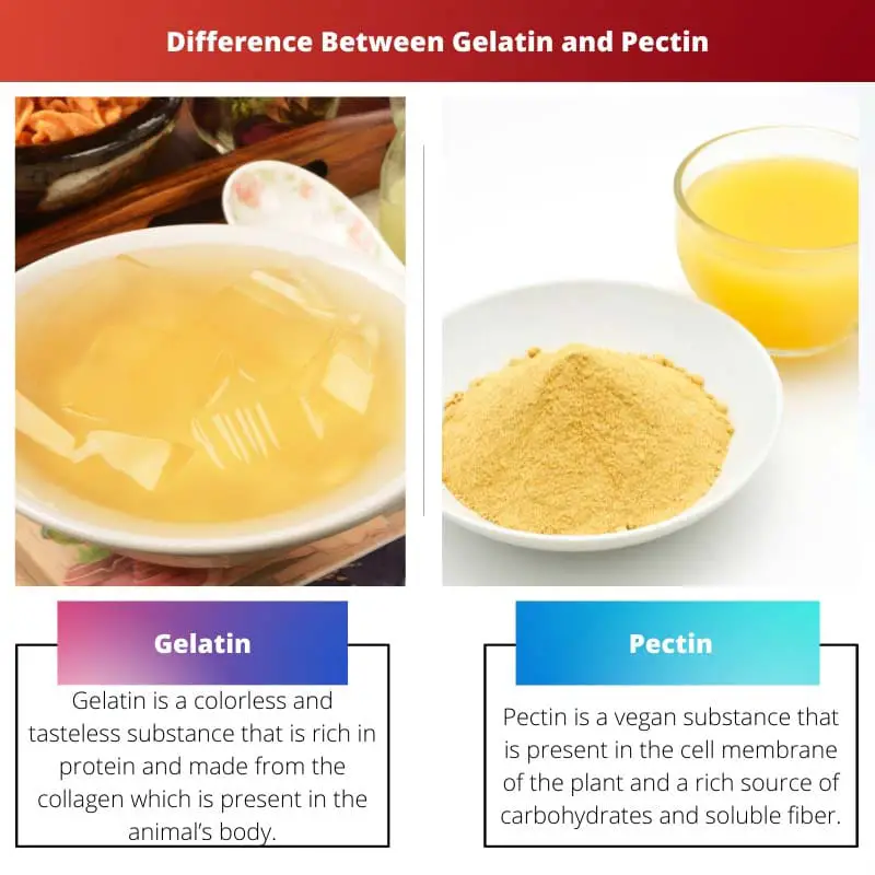 Difference Between Gelatin and Pectin