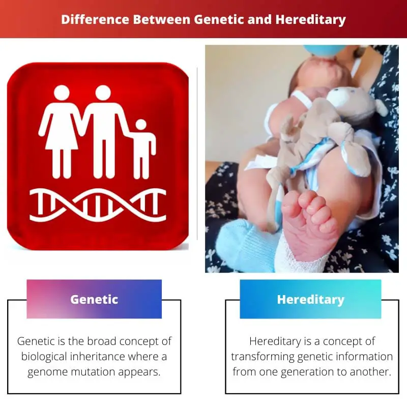Difference Between Genetic and Hereditary