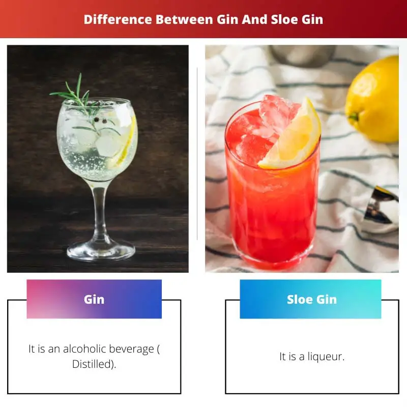 Difference Between Gin And Sloe Gin