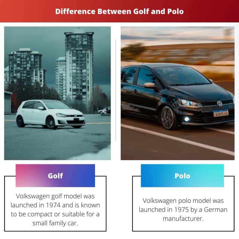 golf-vs-polo-difference-and-comparison