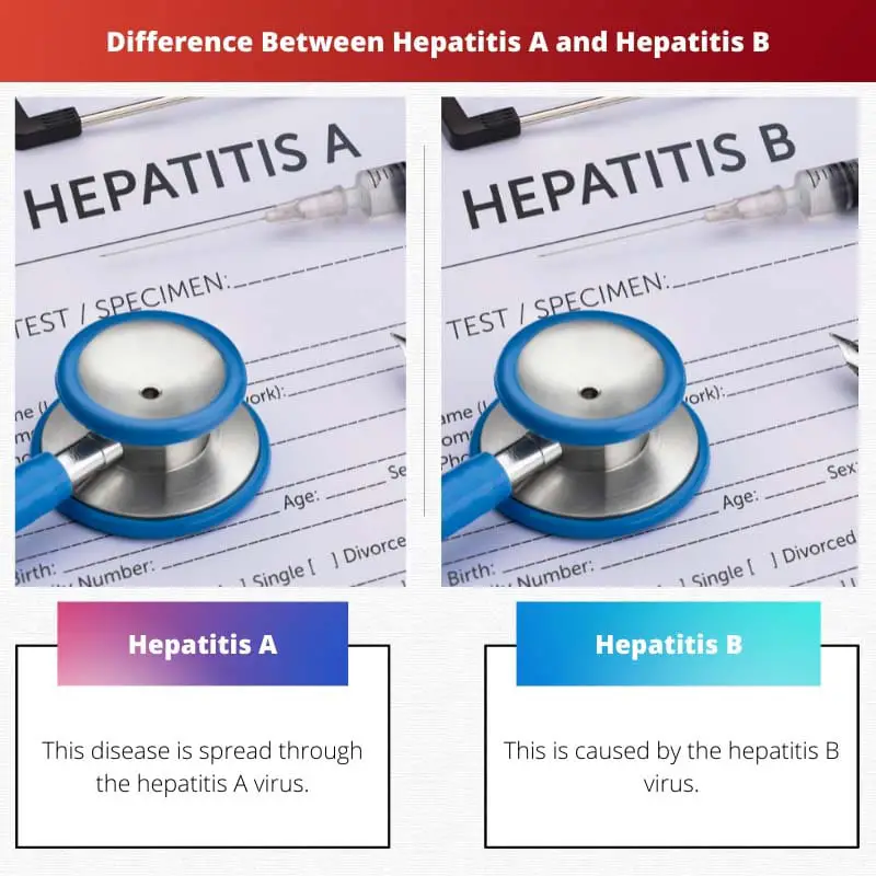 Difference Between Hepatitis A and Hepatitis B