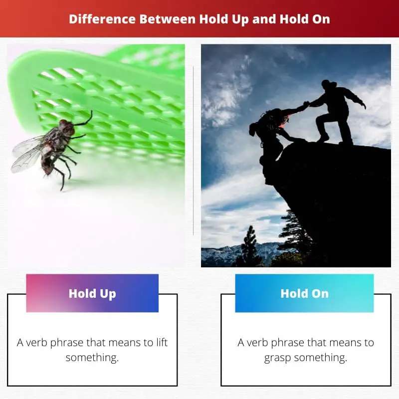 Difference Between Hold Up and Hold On