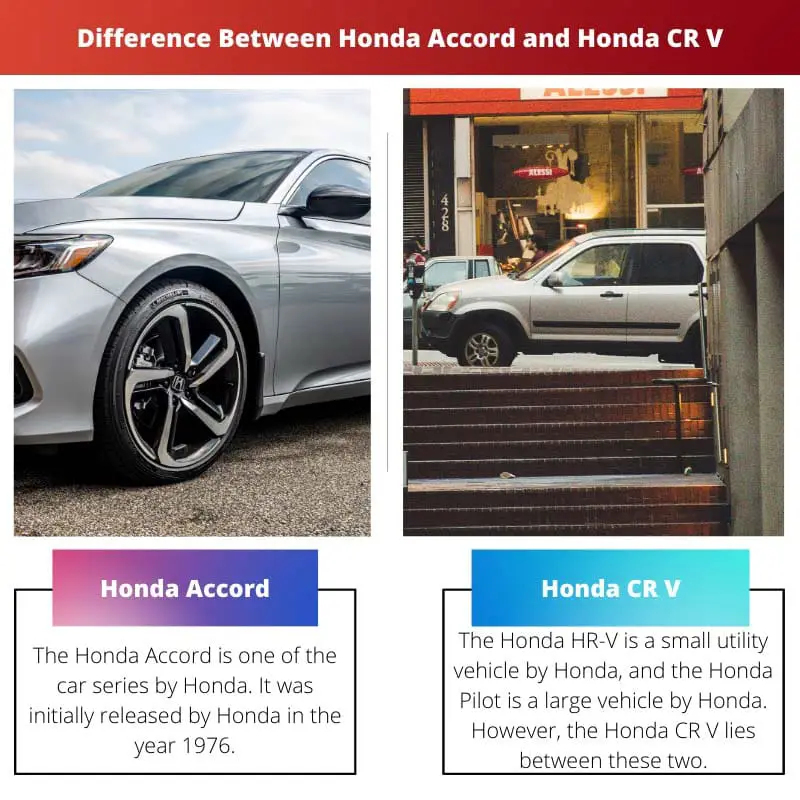 Difference Between Honda Accord and Honda CR V