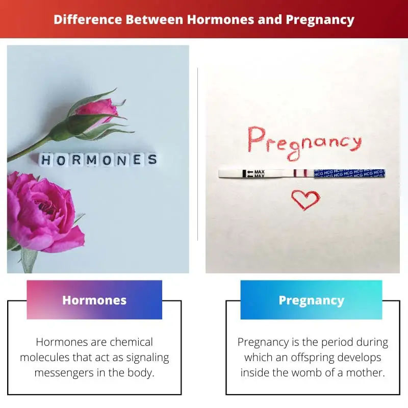 Difference Between Hormones and Pregnancy