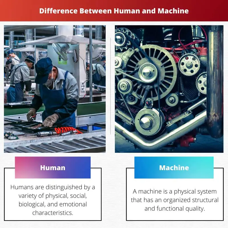 Difference Between Human and Machine
