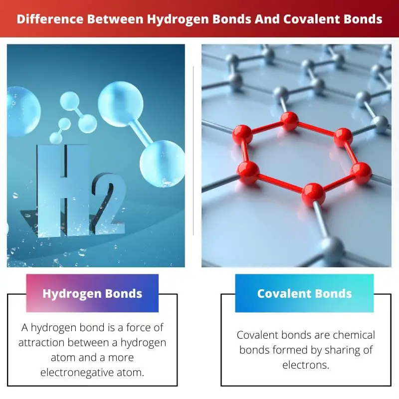 Difference Between Hydrogen Bonds And Covalent Bonds