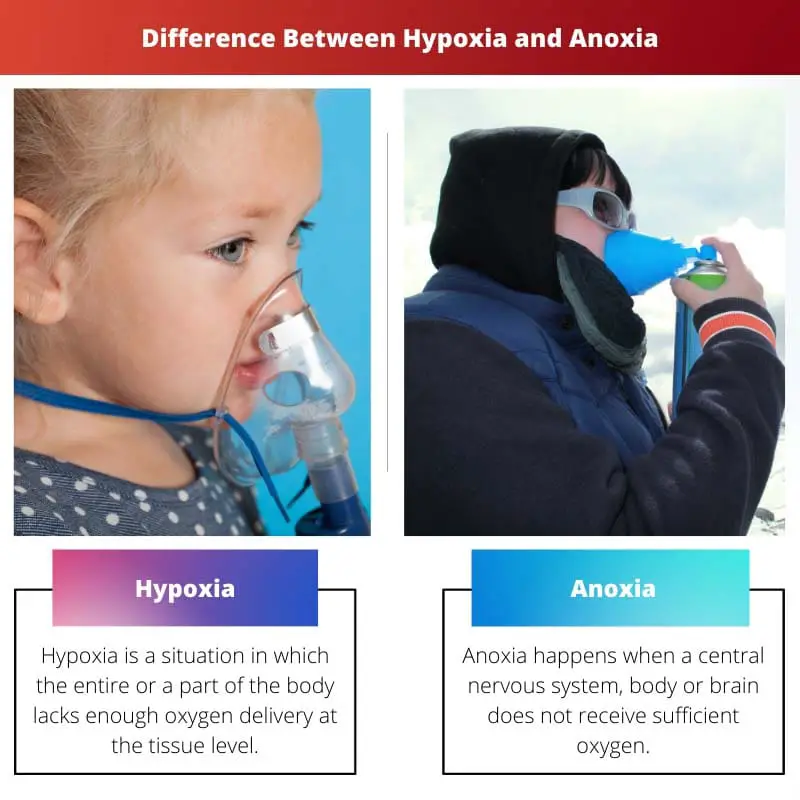 Difference Between Hypoxia and