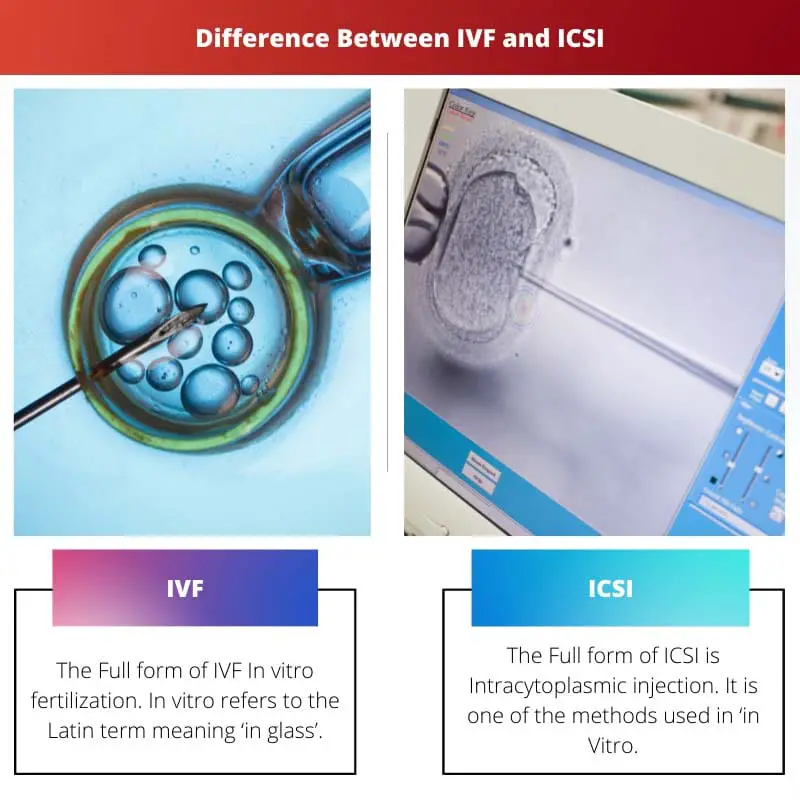 Difference Between IVF and ICSI