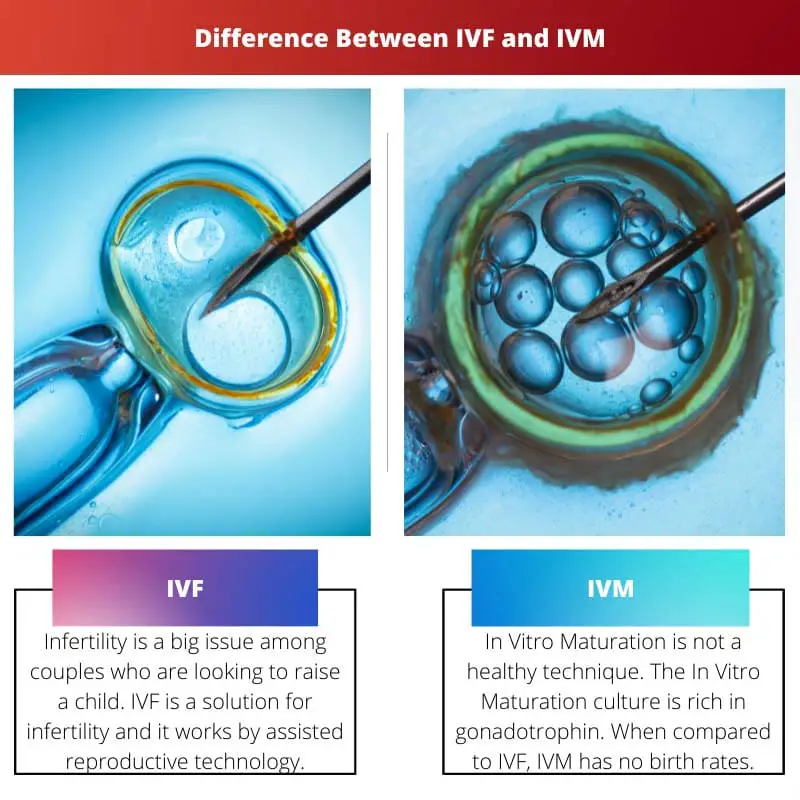 Difference Between IVF and IVM