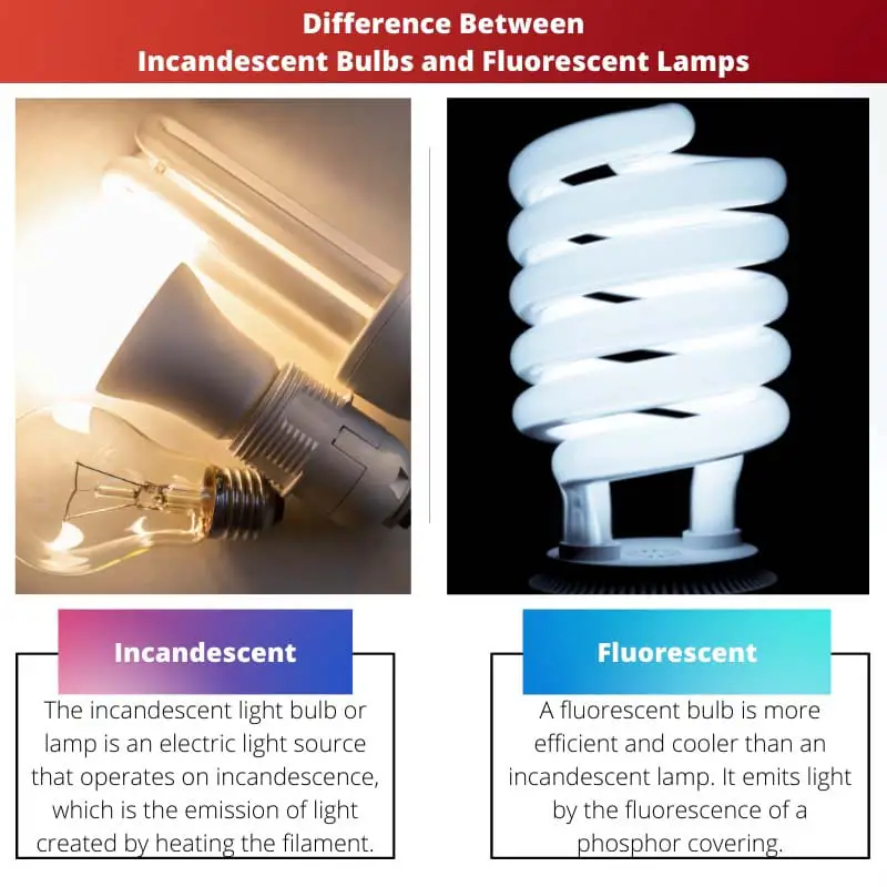 Difference Between Incandescent Bulbs and Fluorescent Lamps