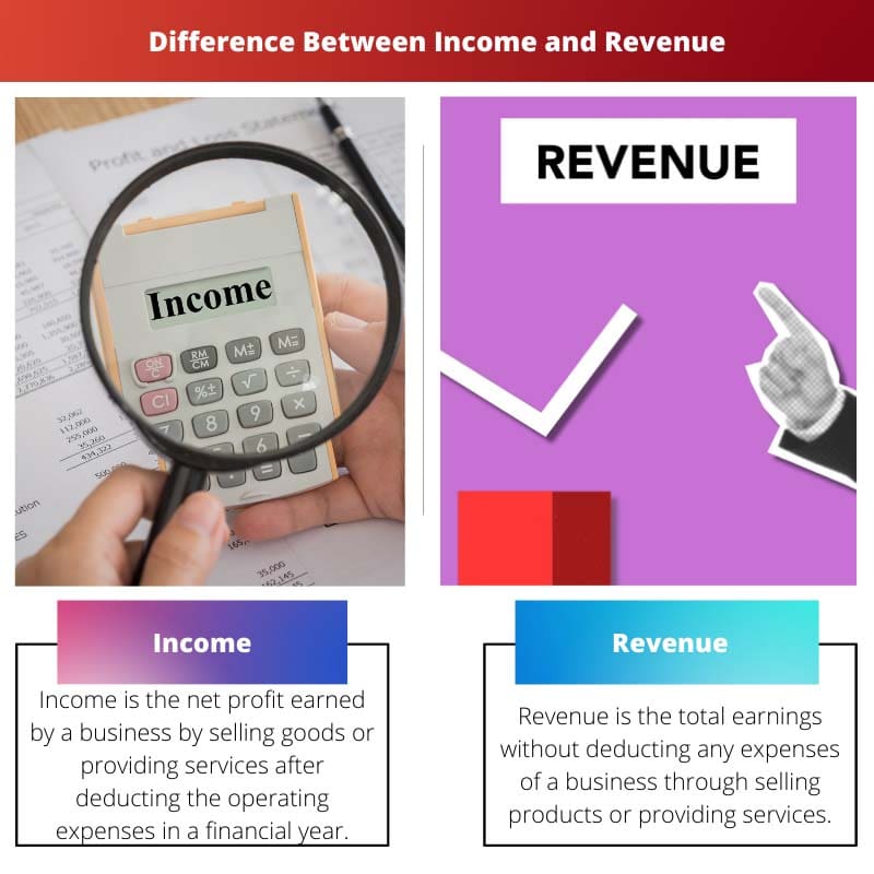 Difference Between Income and Revenue