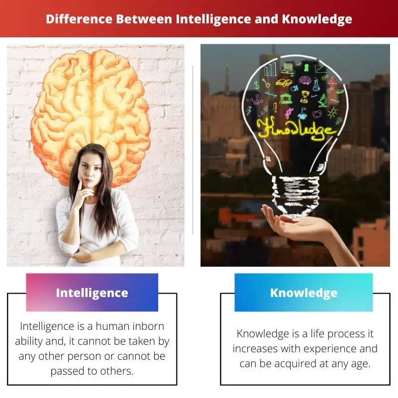 Difference Between Intelligence and Knowledge