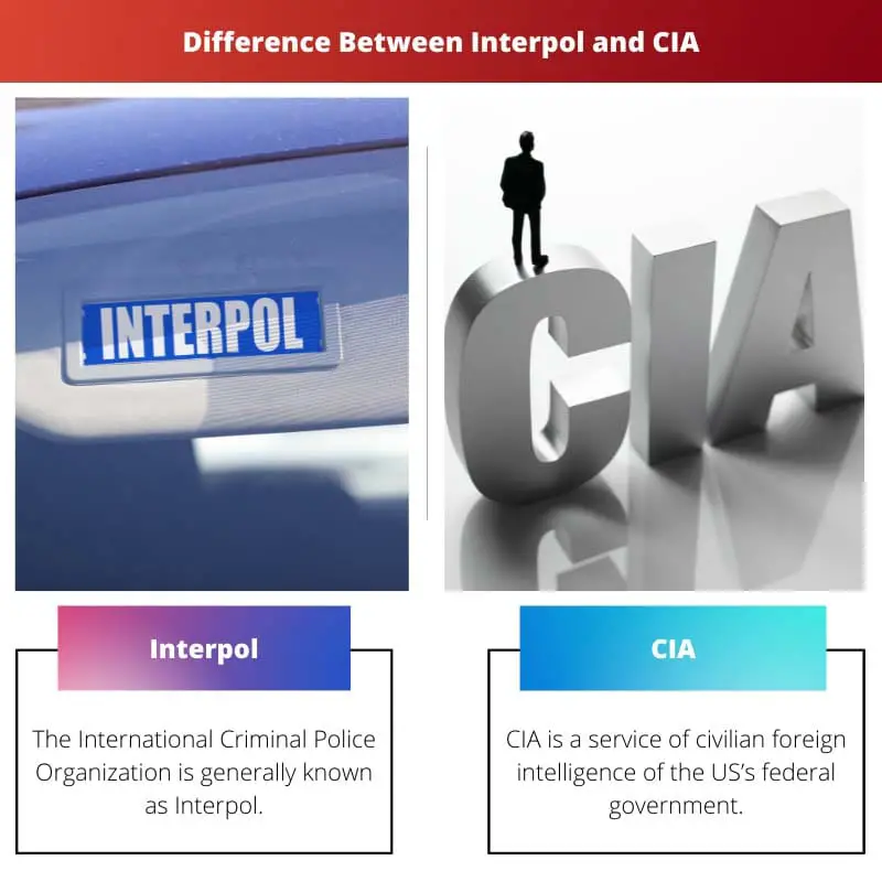 Difference Between Interpol and CIA