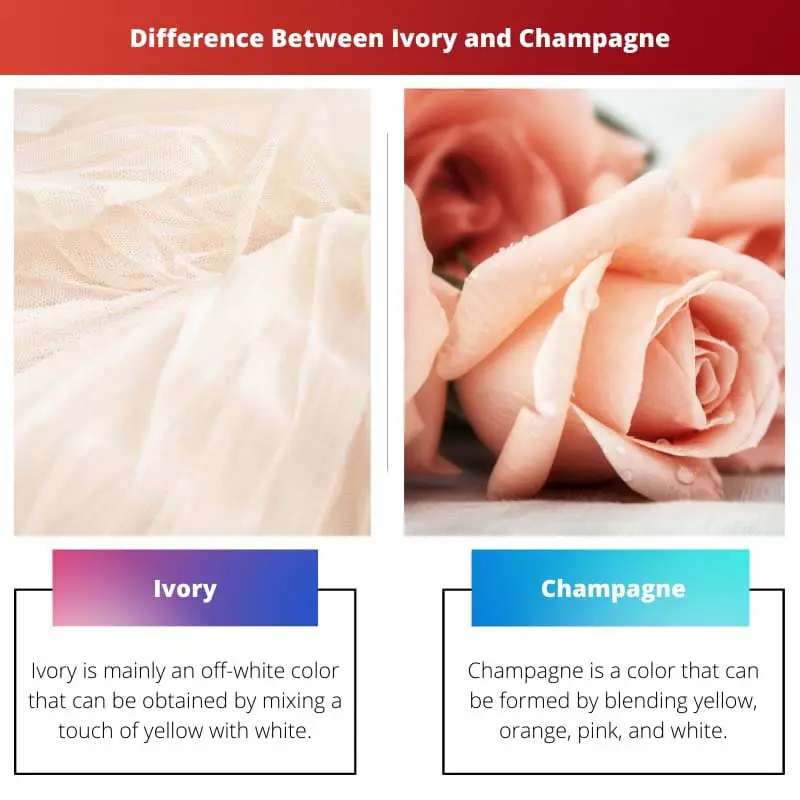 Difference Between Ivory and Champagne