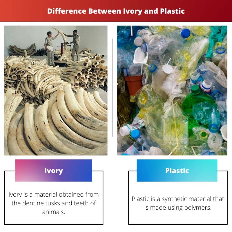 Difference Between Ivory and Plastic