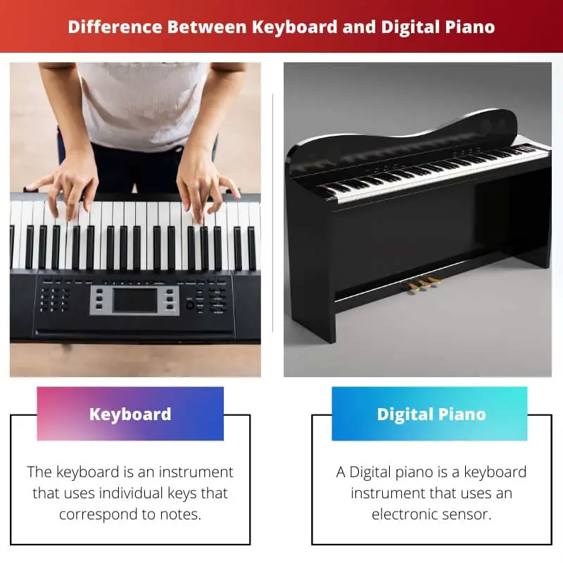 Difference Between Keyboard and Digital Piano