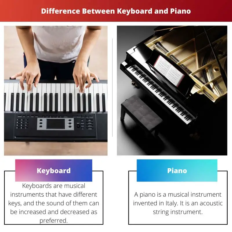 Difference Between Keyboard and Piano