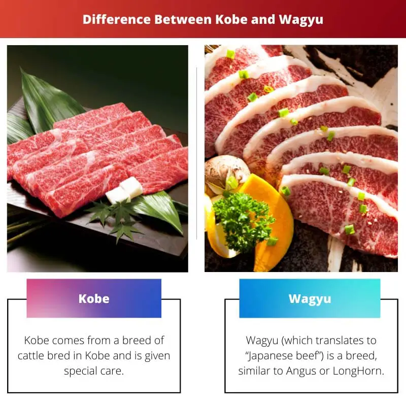 Difference Between Kobe and Wagyu