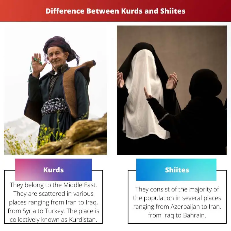Difference Between Kurds and Shiites