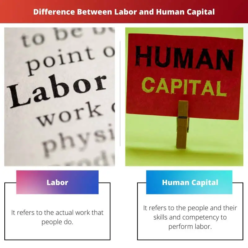 Difference Between Labor and Human Capital