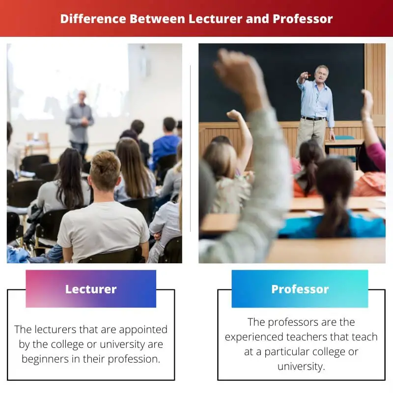 Difference Between Lecturer and Professor