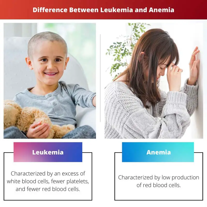 Difference Between Leukemia and Anemia