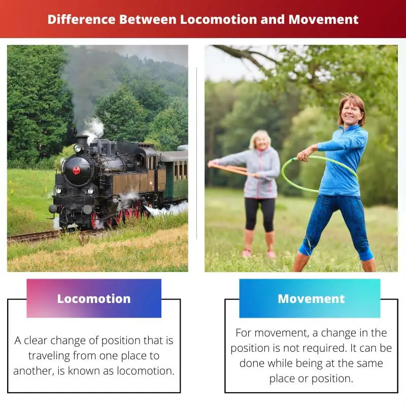 Difference Between Locomotion and Movement