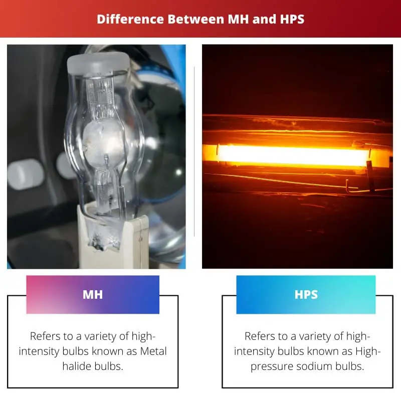 Difference Between MH and HPS