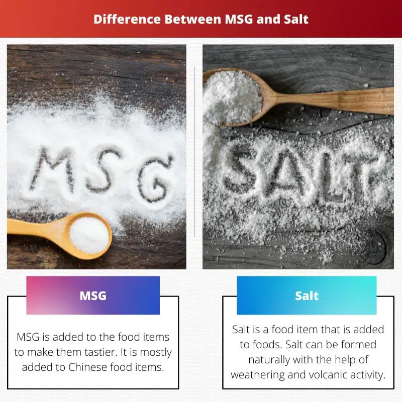 Difference Between MSG and Salt