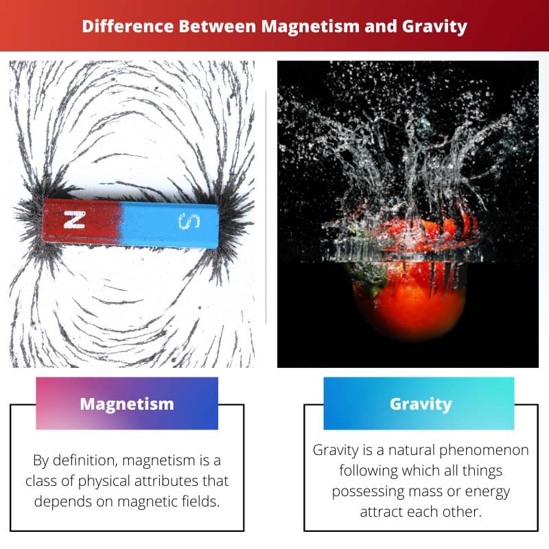 Difference Between Magnetism and Gravity