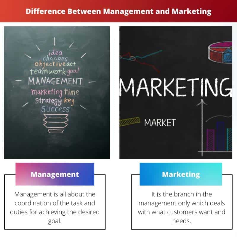 Management vs Marketing: Difference and Comparison