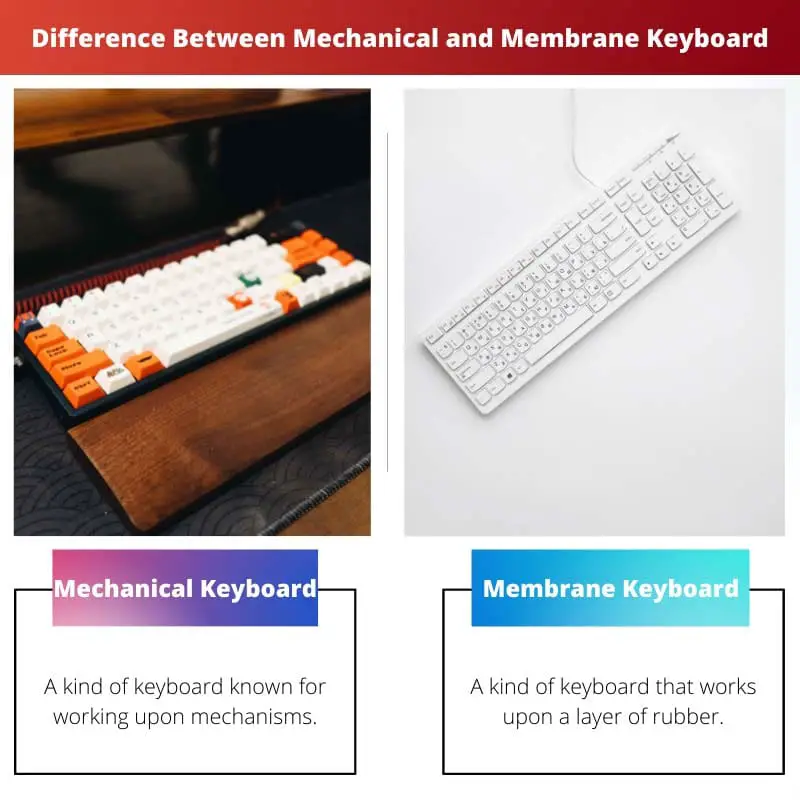 Difference Between Mechanical and Membrane Keyboard