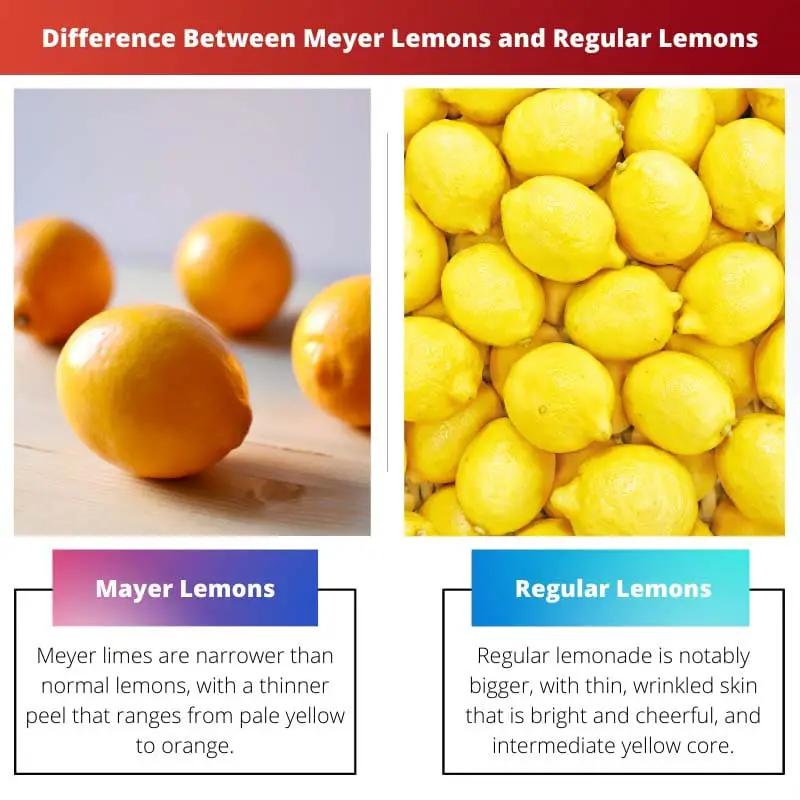 Difference Between Meyer Lemons and Regular Lemons