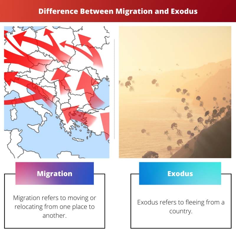 Difference Between Migration and