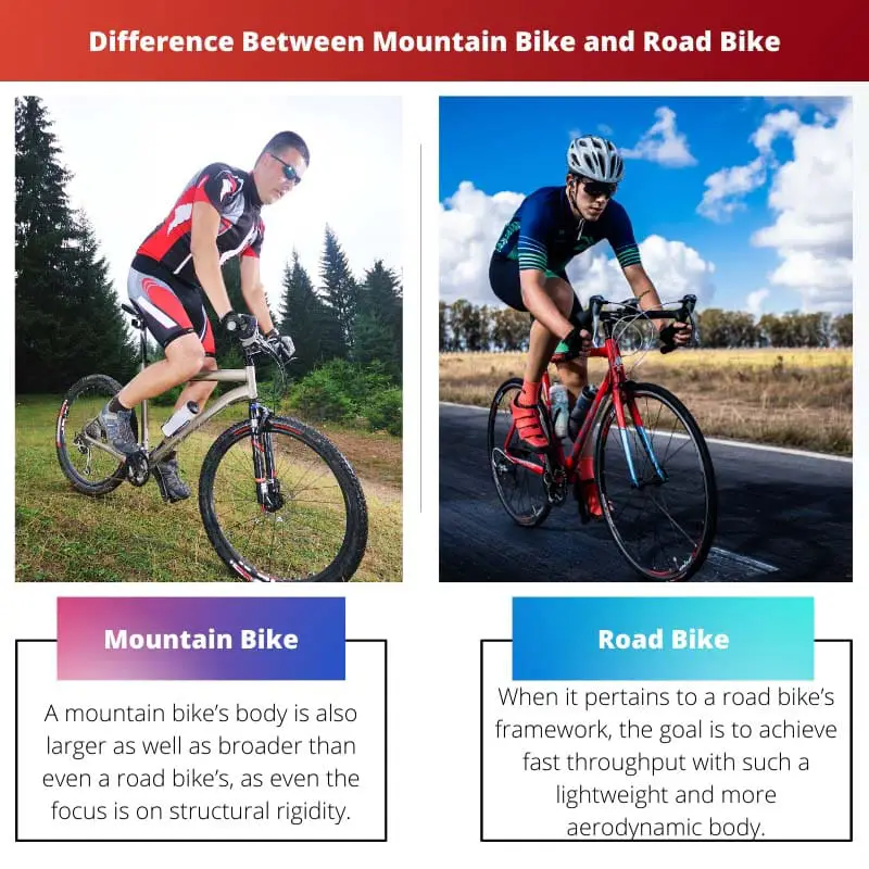 Difference Between Mountain Bike and Road Bike