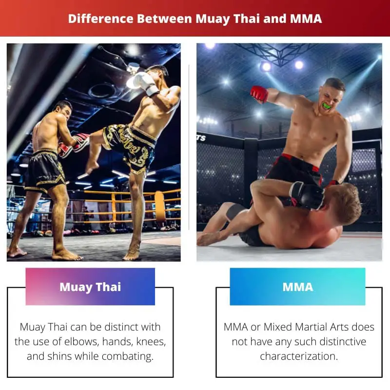 Difference Between Muay Thai and MMA