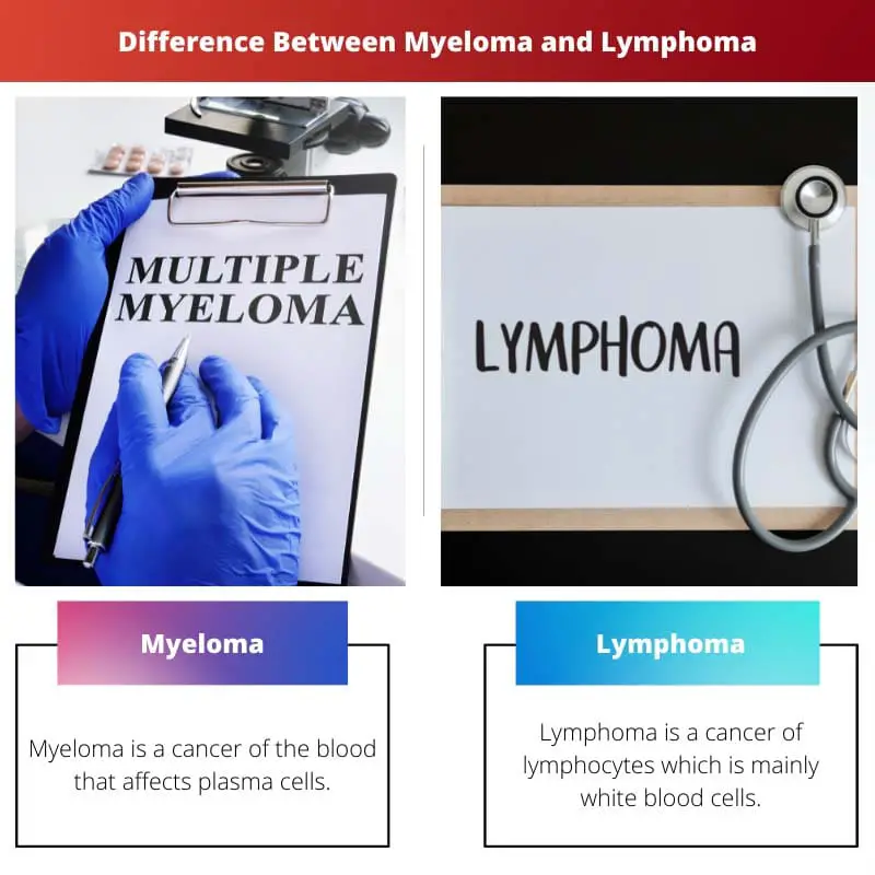 Difference Between Myeloma and Lymphoma