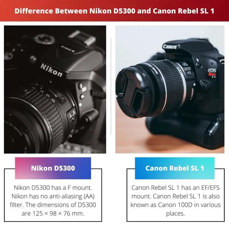 Difference Between Nikon D5300 and Canon Rebel SL 1