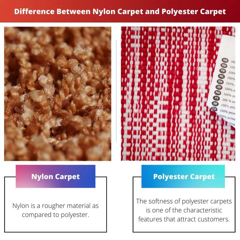 Difference Between Nylon Carpet and Polyester Carpet