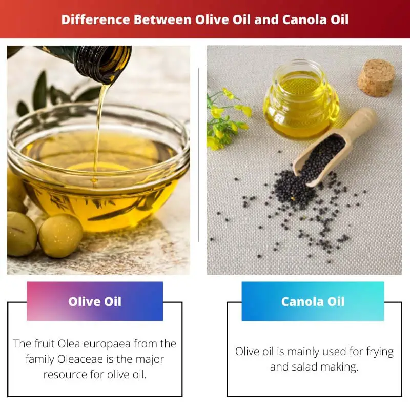 Difference Between Olive Oil and Canola Oil