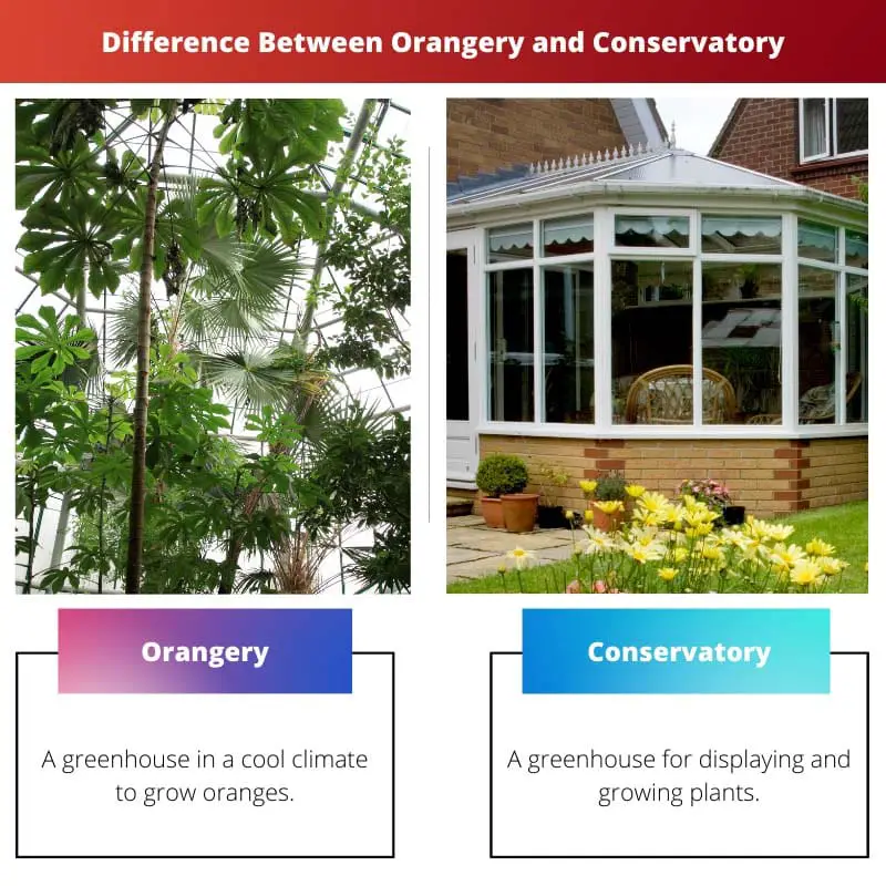 Difference Between Orangery and Conservatory