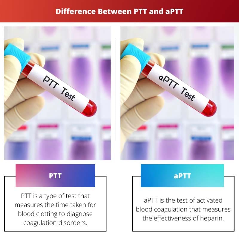 Difference Between PTT and aPTT