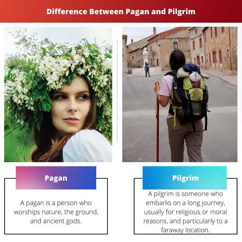 Difference Between Pagan and Pilgrim