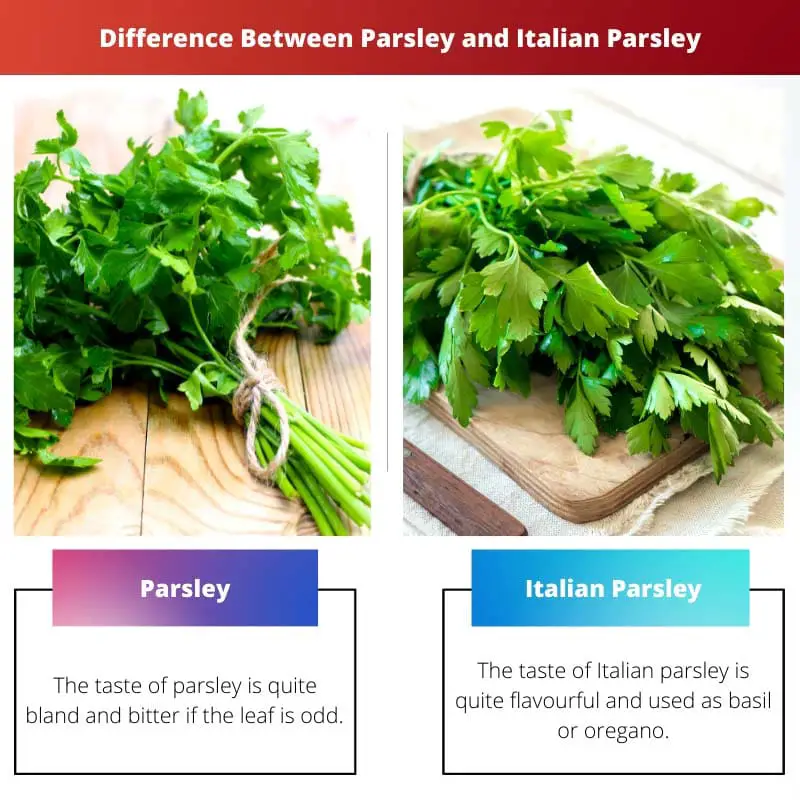 Difference Between Parsley and Italian Parsley