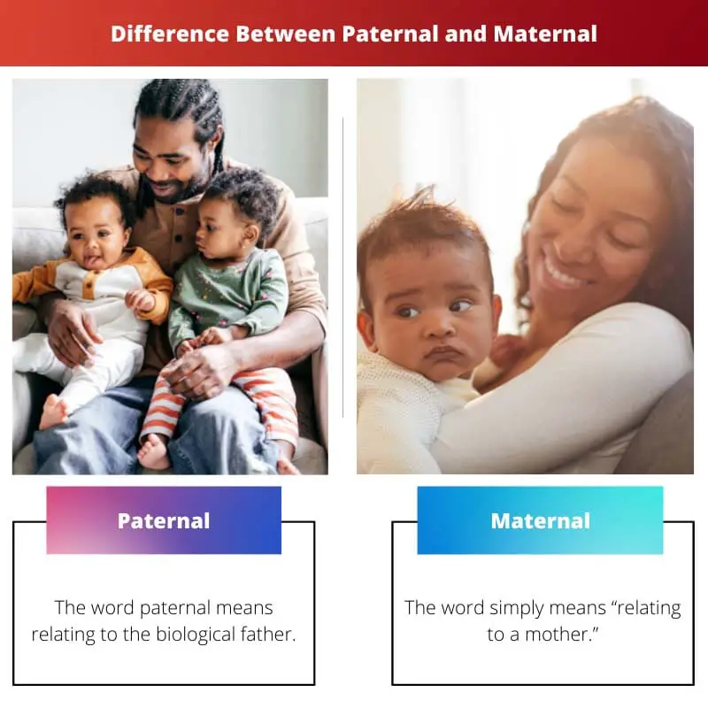 Difference Between Paternal and Maternal