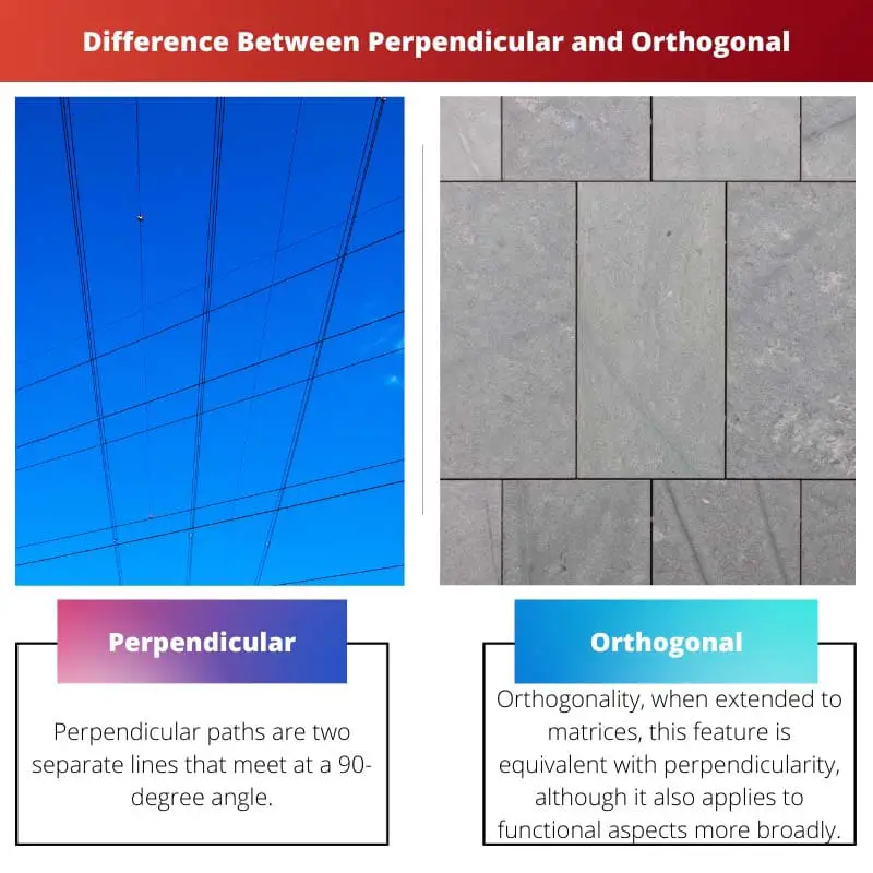 Difference Between Perpendicular and Orthogonal