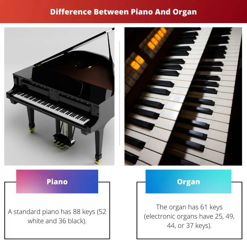 Difference Between Piano And Organ