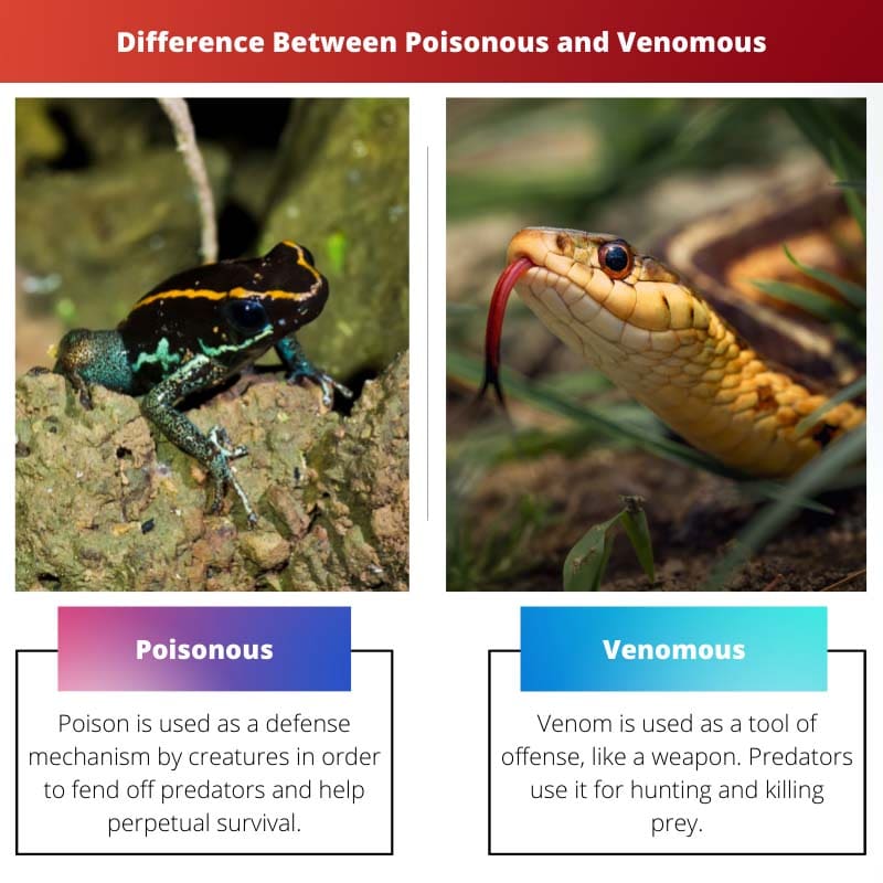 Difference Between Poisonous and Venomous