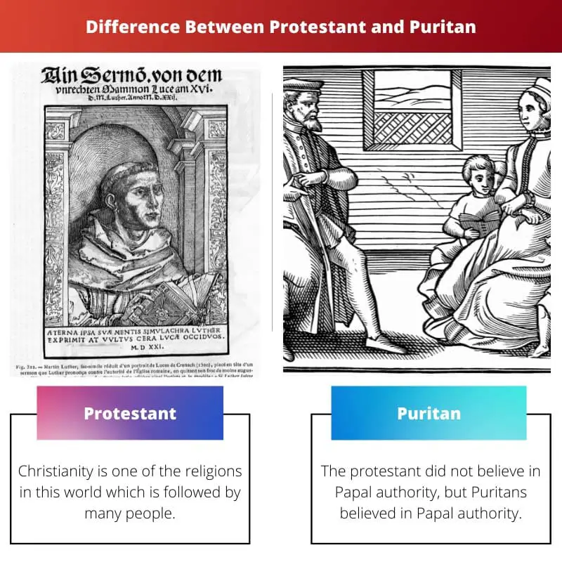 Difference Between Protestant and Puritan